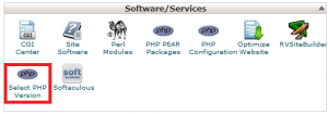 Software services